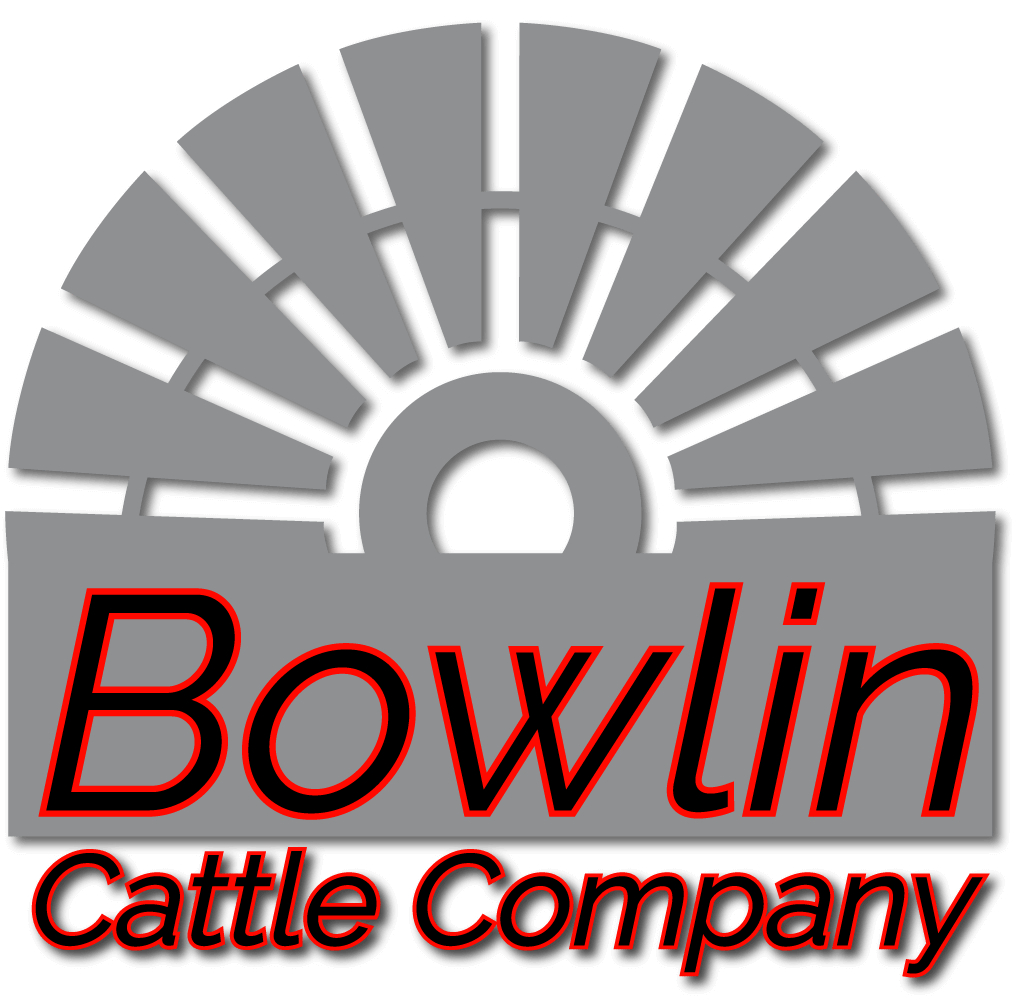 Bowlin Cattle Company